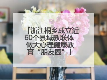 浙江桐乡成立近60个县域教联体 做大心理健康教育“朋友圈”