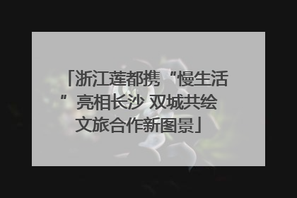 浙江莲都携“慢生活”亮相长沙 双城共绘文旅合作新图景