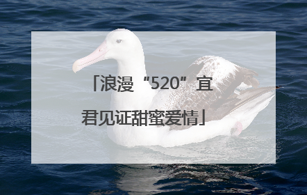 浪漫“520”宜君见证甜蜜爱情