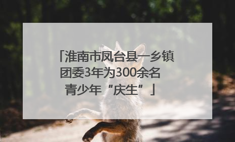 淮南市凤台县一乡镇团委3年为300余名青少年“庆生”