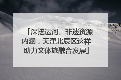 深挖运河、非遗资源内涵，天津北辰区这样助力文体旅融合发展