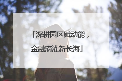 深耕园区赋动能，金融滴灌新长海