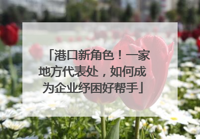 港口新角色！一家地方代表处，如何成为企业纾困好帮手