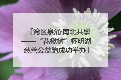 湾区泉涌·南北共擎——“花楸树”杯明湖慈善公益跑成功举办