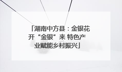 湖南中方县：金银花开“金银”来 特色产业赋能乡村振兴