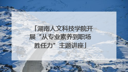 湖南人文科技学院开展“从专业素养到职场胜任力”主题讲座