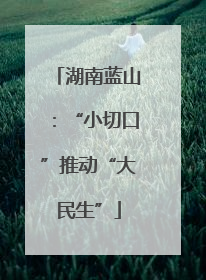 湖南蓝山：“小切口”推动“大民生”