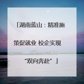 湖南蓝山：精准施策促就业 校企实现“双向奔赴”
