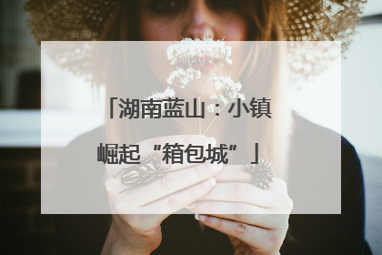 湖南蓝山：小镇崛起“箱包城”