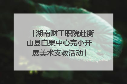 湖南财工职院赴衡山县白果中心完小开展美术支教活动