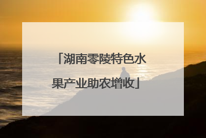 湖南零陵特色水果产业助农增收