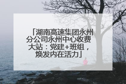 湖南高速集团永州分公司永州中心收费大站：党建+班组，焕发内在活力