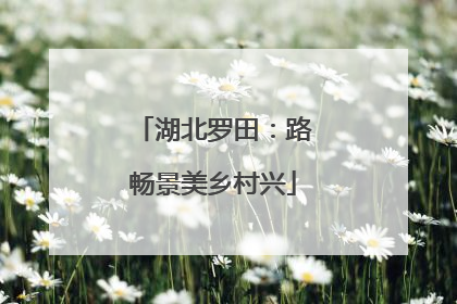 湖北罗田：路畅景美乡村兴