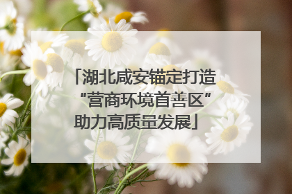 湖北咸安锚定打造“营商环境首善区”助力高质量发展
