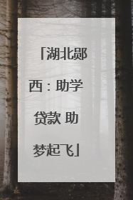 湖北郧西：助学贷款 助梦起飞