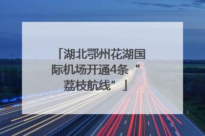 湖北鄂州花湖国际机场开通4条“荔枝航线”