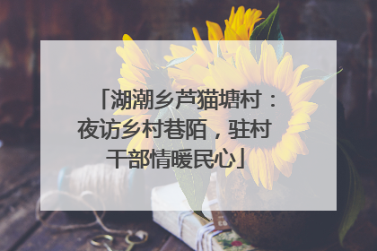 湖潮乡芦猫塘村：夜访乡村巷陌，驻村干部情暖民心