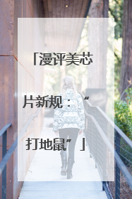 漫评美芯片新规：“打地鼠”