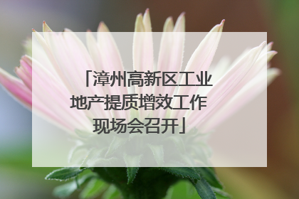 漳州高新区工业地产提质增效工作现场会召开