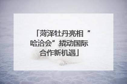 菏泽牡丹亮相“哈洽会”撬动国际合作新机遇