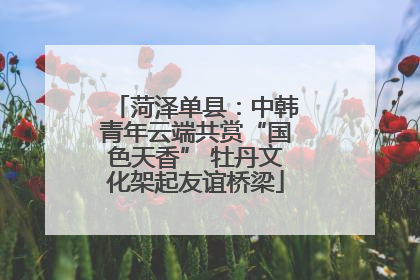菏泽单县：中韩青年云端共赏“国色天香” 牡丹文化架起友谊桥梁