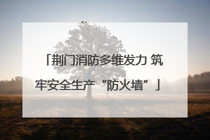 荆门消防多维发力 筑牢安全生产“防火墙”