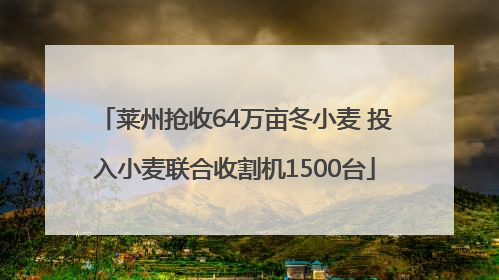 莱州抢收64万亩冬小麦 投入小麦联合收割机1500台