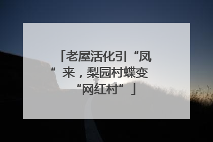 老屋活化引“凤”来，梨园村蝶变“网红村”