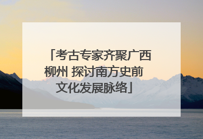 考古专家齐聚广西柳州 探讨南方史前文化发展脉络