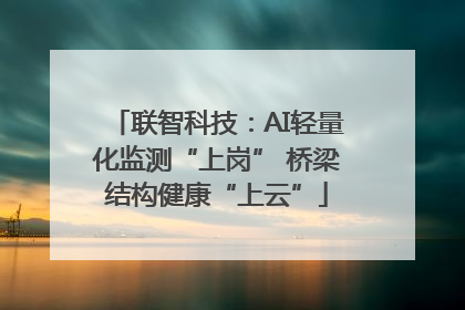 联智科技：AI轻量化监测“上岗” 桥梁结构健康“上云”