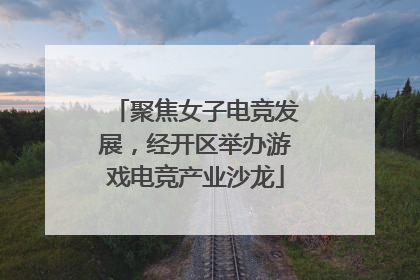聚焦女子电竞发展，经开区举办游戏电竞产业沙龙