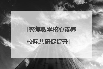 聚焦数学核心素养 校际共研促提升