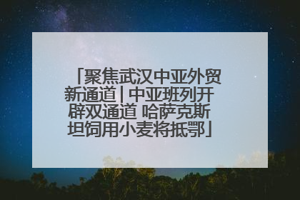 聚焦武汉中亚外贸新通道│中亚班列开辟双通道 哈萨克斯坦饲用小麦将抵鄂