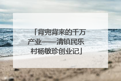 背兜背来的千万产业——清镇民乐村杨敏珍创业记