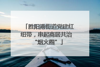胜阳港街道党建红纽带，串起商居共治 “烟火圈”