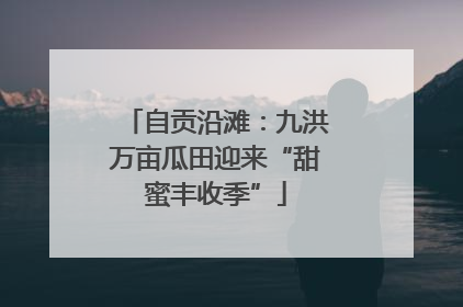 自贡沿滩：九洪万亩瓜田迎来“甜蜜丰收季”