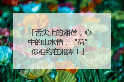 舌尖上的湘莲，心中的山水情，“荷”你相约在湘潭！