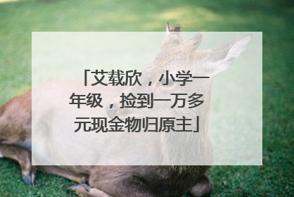 艾载欣，小学一年级，捡到一万多元现金物归原主