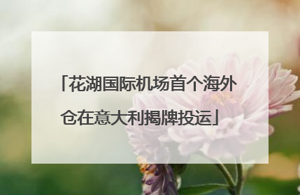 花湖国际机场首个海外仓在意大利揭牌投运