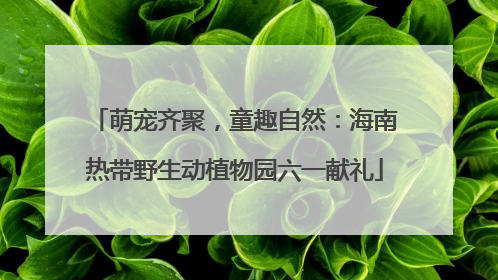 萌宠齐聚，童趣自然：海南热带野生动植物园六一献礼