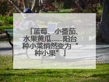 蓝莓、小番茄、水果黄瓜……阳台种小菜悄然变为“种小果”