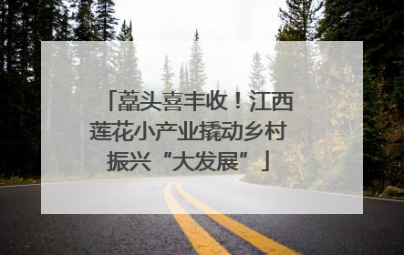 藠头喜丰收！江西莲花小产业撬动乡村振兴“大发展”