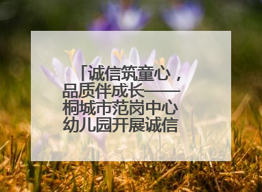 诚信筑童心，品质伴成长——桐城市范岗中心幼儿园开展诚信教育系列活动