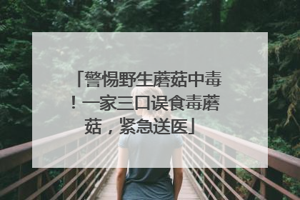 警惕野生蘑菇中毒！一家三口误食毒蘑菇，紧急送医