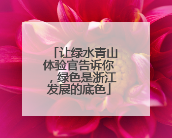让绿水青山体验官告诉你，绿色是浙江发展的底色