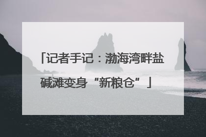 记者手记：渤海湾畔盐碱滩变身“新粮仓”