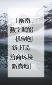 衡南：数字赋能+机制创新 打造营商环境新高地