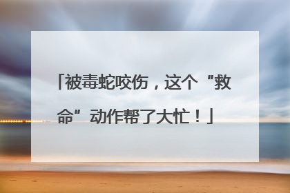 被毒蛇咬伤，这个“救命”动作帮了大忙！