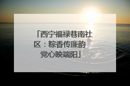西宁福禄巷南社区：粽香传廉韵 党心映端阳