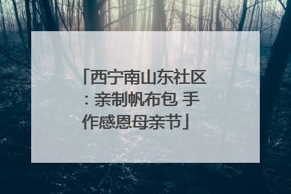西宁南山东社区：亲制帆布包 手作感恩母亲节